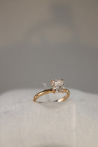 Tendresse Éternelle