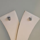 Tulipe Blanche Diamant